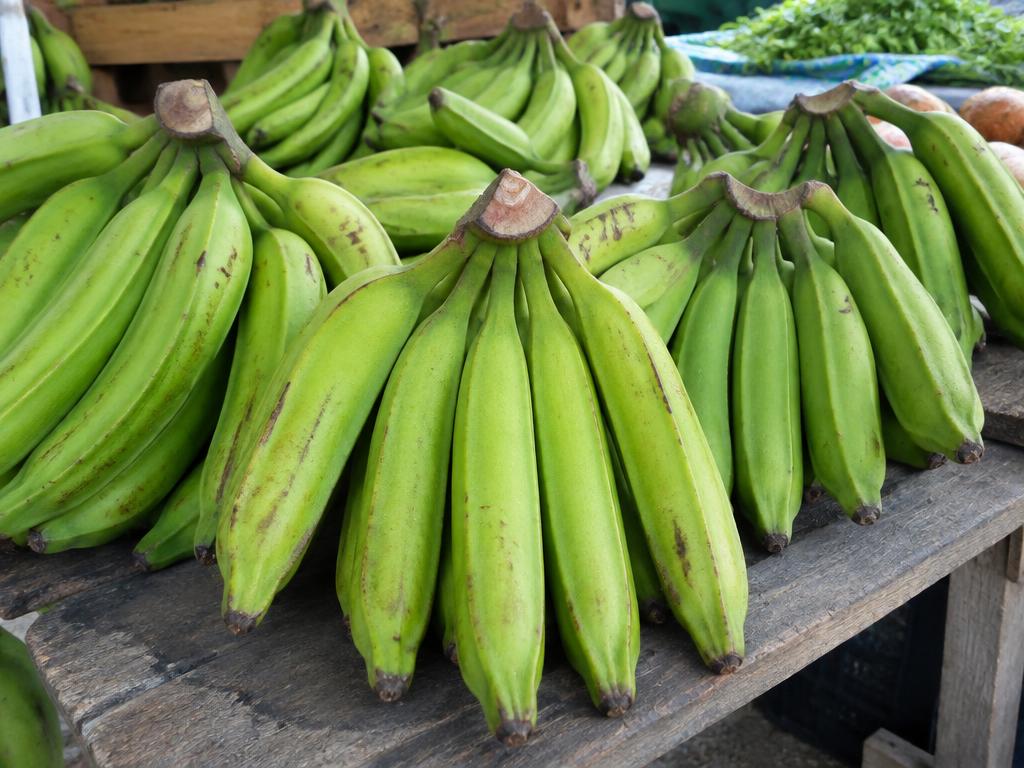 Plantain Bunches