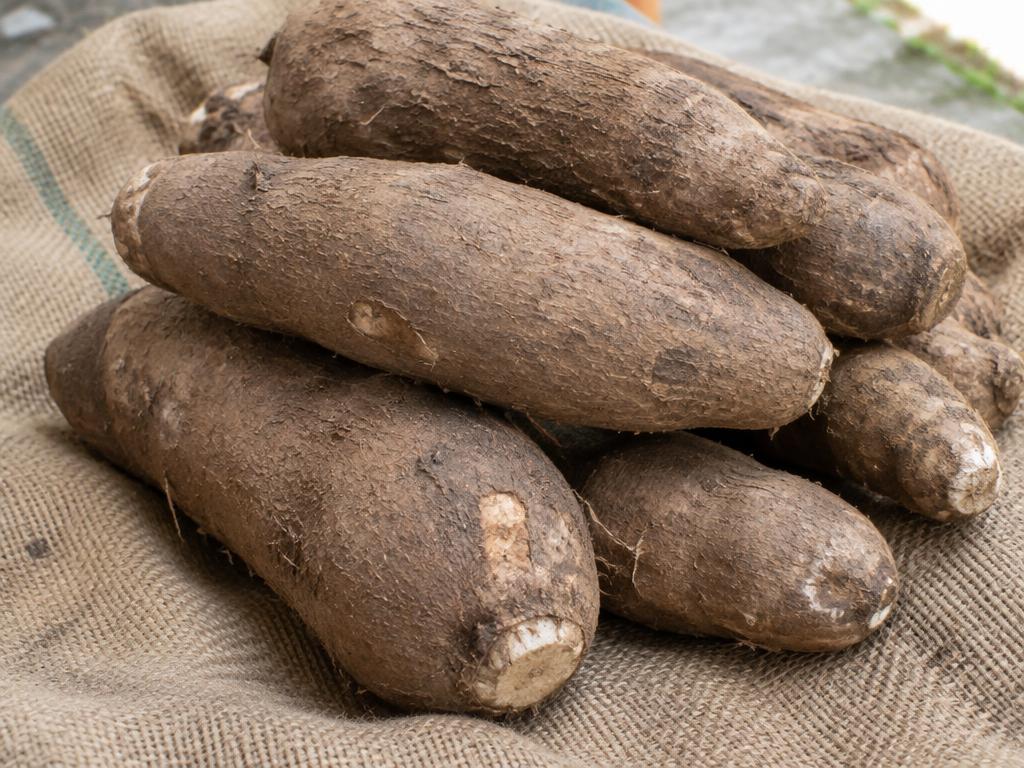 Yam Tubers